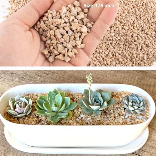 45lb Maifanitum Stones for Succulent Cactus Bonsai Decorative Rocks-Indoor Plants Soil Covers,Horticultural Gravel, Potting Pebbles for Terrarium, Fairy Gardening, Top Dressing - Image 2