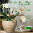 Ceramicfor Planter Pot 8 Inch, Ceramic Pot for Plants, Yellow - Image 6