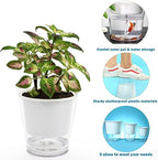 6 Pakcs Self-Watering Planters for Indoor Plants 7"/ 5.1"/ 4.3" Clear African Violet Pots Plastic Orchid Pots Wick Flower Pots, Large, Medium and Small Sizes, Home Decor Pot - Image 2