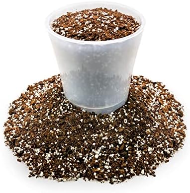 Gardenera Premium House Plant and Tropical Plant Potting Soil - Re-Potting Soil for All Types of Indoor House Plants - 5 Quart - Image 5