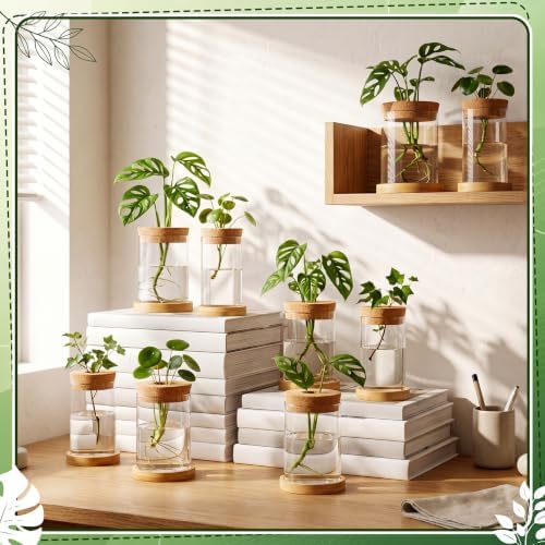 Hushee 12 Pcs Plants Propagation Stations Glass Propagation Jars with Hole Lid Hydroponic Terrarium Vases Gifts for Plant Lovers Home Indoor Office Tabletop Decoration, 2 Sizes - Image 3
