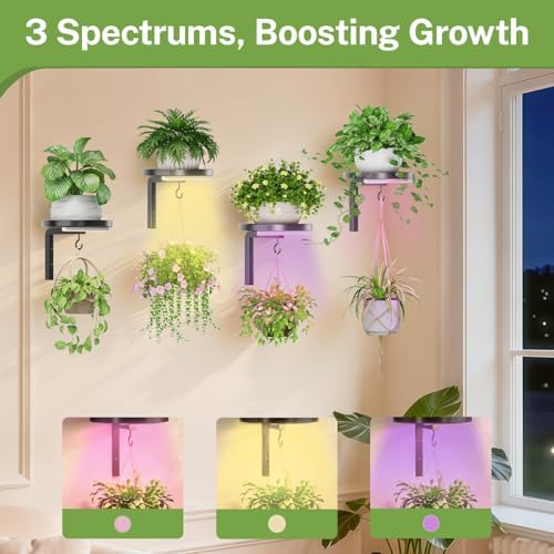 iDavosic.ly Plant Wall Hanger with Grow Lights Set of 4 for Indoor, Black - Image 5