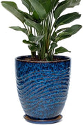 9.5 Inch Modern Ceramic Plant Pot with Saucer, Flower Pot with Drainage Hole Mesh Net,Indoor Outdoor Planter (Speckle Blue) by Unknown
