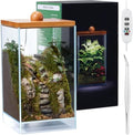 Large Glass Plant Terrarium: 13.7H+7.8W Terrarium with Light by Unknown