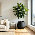 Kante Modern Home Minimalist 18.1" Dia Raven Black Concrete Curved Planter - Image 6