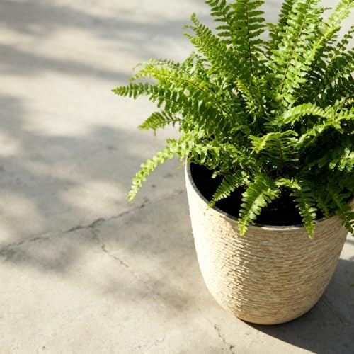 Worth 9 Gallon Tall Round Planters Set of 2-14" Dia x 21" H Stone Finish Flower Pots Indoor Decorative Container Garden Patio Unbreakable Beige - Image 4