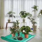 Repotting Planting Mat 50cm-100cm Gardening Potting Pad Foldable Garden Plant Flower Pot Transplanting Waterproof Mats for Indoor Plant Repotting(100x100cm) - Image 5