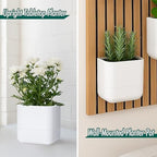 Phoenix Vine 6.5 Inch Wall Mounted Self-Watering Planter Pot for Indoor Houseplants and Herbs | Hanging Planter for Window Sills, Bathroom Walls, Home & Office Décor, White, Set of 3, 01-C-D-3 - Image 2