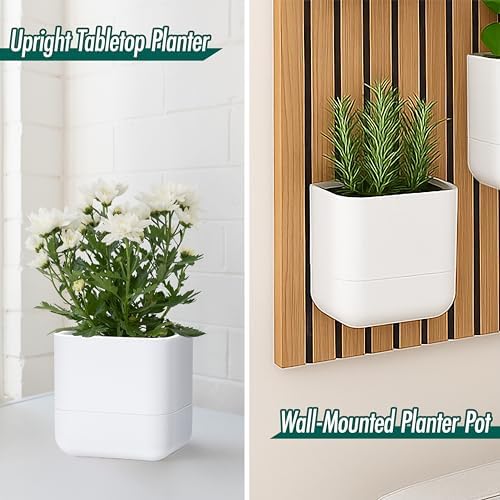 Phoenix Vine 6.5 Inch Wall Mounted Self-Watering Planter Pot for Indoor Houseplants and Herbs | Hanging Planter for Window Sills, Bathroom Walls, Home & Office Décor, White, Set of 2, 01-C-D-2 - Image 2