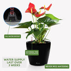 Dexceder 9x8 Self Watering Planter (Black High Gloss) - Image 5