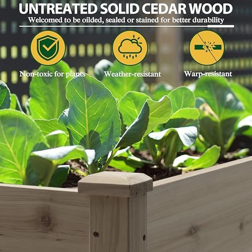 MUPATER 6'x1.8' Raised Garden Bed, Cedar Elevated Planter Box with 8 Drainage Holes, 6.8 Cubic Feet Potting Space, Wood Raised Garden Beds Outdoor with Six Legs for Garden, Patio and Greenhouse, Brown - Image 4
