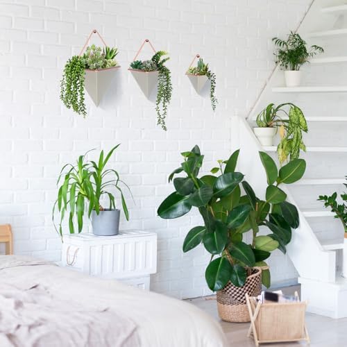 Rtteri 18 Pcs Wall Hanging Planter with Artificial Plant, Succulents, Gray - Image 6