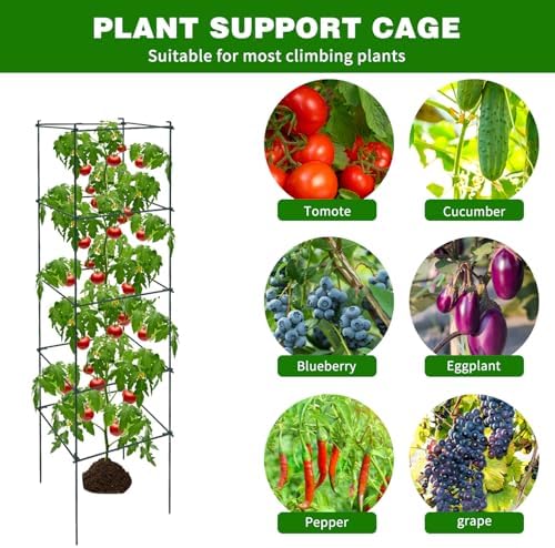 6 Packs Tomato Cages for Garden, 12"×12"×48" Plant Support Cage with Different Spacing, Green Metal Trellis for Climbing Plants Like Cucumber, Flowers - Image 6