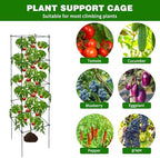 6 Packs Tomato Cages for Garden, 12"×12"×48" Plant Support Cage with Different Spacing, Green Metal Trellis for Climbing Plants Like Cucumber, Flowers - Image 6