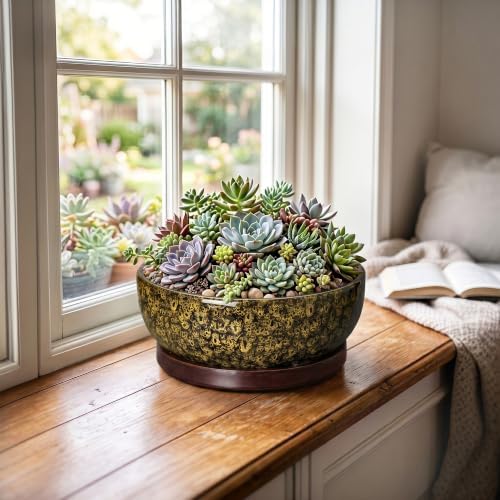 8 Inch Ceramic Succulent Pots with Saucer, Yellow Leopard - Image 3