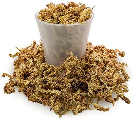 Premium New Zealand Sphagnum Moss by Gardenera - Organic Hand Mixed Long Fibered Sphagnum Moss Orchid - 5 Quart - Image 3