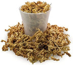 Premium New Zealand Sphagnum Moss by Gardenera - Organic Hand Mixed Long Fibered Sphagnum Moss Orchid - 5 Quart - Image 3