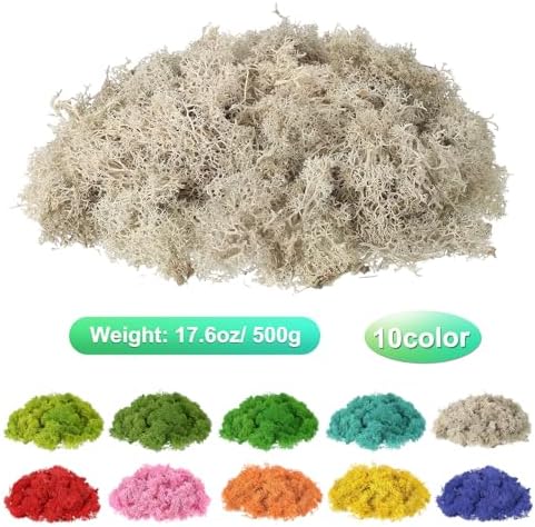 uxcell Preserved Reindeer Moss, 17.6oz Fake Moss for Crafts Artificial Dried Moss for Decoration Terrariums Potted Plants, Cream - Image 2