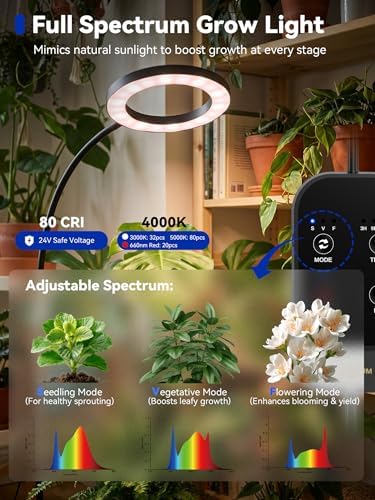 GLOWRIUM Grow Lights for Indoor Plants,Full Spectrum Plant Light with Stand - Image 2