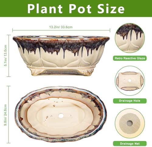 Ceramic Bonsai Pots - 13.2 Inch Succulent Planters for Indoor Plants Outdoor, Bonsai Tree Pots with Drainage Hole, Decorative Shallow Planter, Room Decor, Gifts for Men Women, Oval Beige-Brown - Image 2
