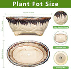 Ceramic Bonsai Pots - 13.2 Inch Succulent Planters for Indoor Plants Outdoor, Bonsai Tree Pots with Drainage Hole, Decorative Shallow Planter, Room Decor, Gifts for Men Women, Oval Beige-Brown - Image 2