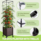 Raised Garden Bed Planter Box with Tomato Cage - Self-Watering Tomato Planters with Trellis for Climbing Plants Outdoor - Vertical Gardening Tomatoes Pot with Trellis Wheels for Vegetable Vine - Image 3