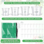 12PCS 5.75/7/8/10 in Clear Nursery Pots with Drainage Plant Pots - Image 3