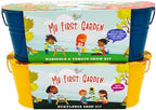 BUZZY 2 Pack Sunflower and Marigold Cherry Tomato Indoor Grow Kits with Yellow and Blue Planters, Non-GMO Seeds and Growing Medium, Windowsill Gardening Gift for Beginners by BUZZY