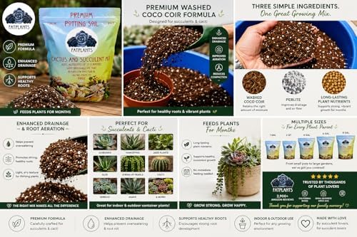 Fat Plants San Diego Premium Cacti and Succulent Potting Mix Soil - for Cactus Palm Tree Citrus Plant Grown in Gardening Containers - Indoors & Outdoors Use - with Natural Food/Fertilizer - Image 3