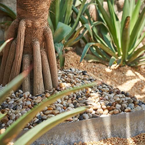 GASPRO 30-lb Natural River Rocks for Landscaping, Decorative Rocks for Potted Plants and Aquariums, Polished River Stones for Indoor & Outdoor Decor, 1 to 1 3/4 Inches - Image 6