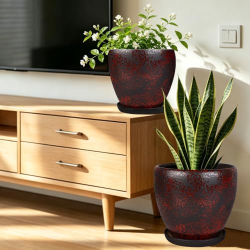 Ceramic Plant Pots With Saucer & Drainage Hole, 8 inch Indoor Flower Pots - Image 2