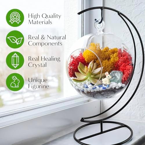 Creations by Nathalie - 5" Glass Globe Succulent Terrarium Kit, Hanging DIY Starter Kit for Kids and Adult, Metal Stand, Reindeer Moss, Crystal & Rocks, Tools, Figurine (Live Plant Included) - Image 5