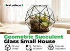 Glass Flower Pots Geometric Terrarium Planter Container Air Plant Display Air Plant Containers for Succulents Balcony Tabletop Miniature Fairy Garden Modern Decor Terrarium Large - Image 3