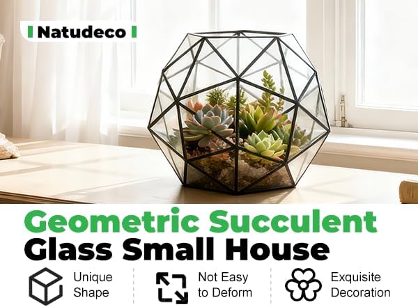 Glass Flower Pots Geometric Terrarium Planter Container Air Plant Display Air Plant Containers for Succulents Balcony Tabletop Miniature Fairy Garden Modern Decor Terrarium Large - Image 3