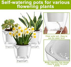 Clear Self Watering Planters, 12 Pack, 4.2 in Square - Image 5