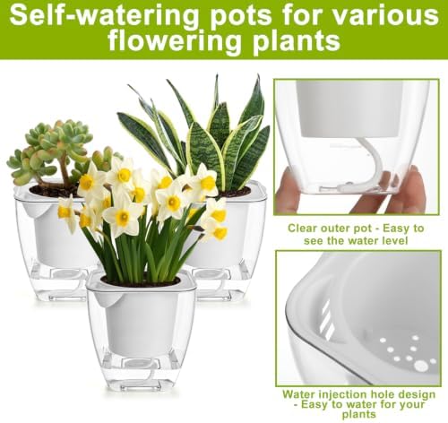Clear Self Watering Planters, 12 Pack, 4.2 in Square - Image 5