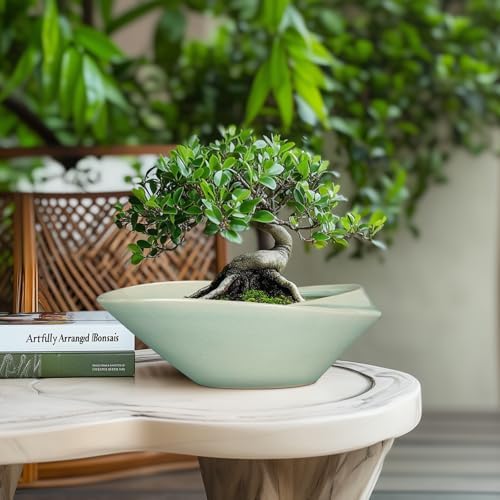 Bonsai Pot - 12 Inch Ceramic Planter Pot with Drainage Hole Large Modern Planter Decorative Glazed Succulent Plant Pot for Indoor Outdoor Plants Green - Image 2