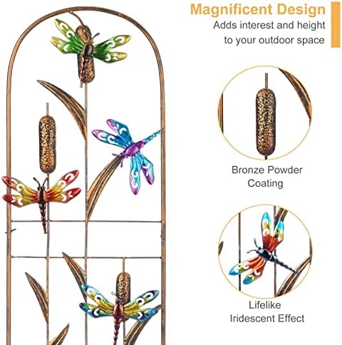 LEWIS&WAYNE 2 Pack Metal Garden Trellis with Colorful Dragonfly 60 Inch High Outdoor Decoration Arched Fence Trellis for Climbing Plants for Patio, Lawn, Yard, Backyard, Wall Brackets - Image 3