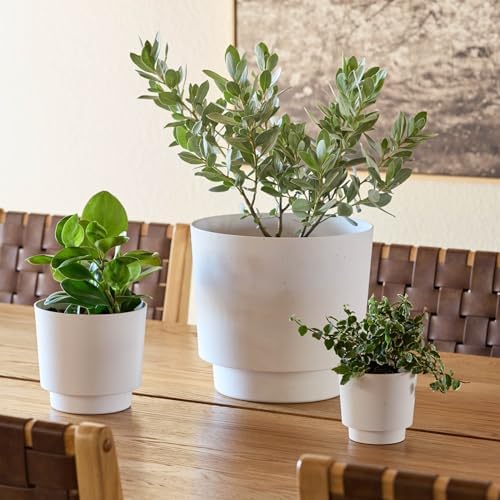 Bloem Harlow 6" Plastic Planter, Modern Design, Vanilla Bean, 4-Pack - Image 5