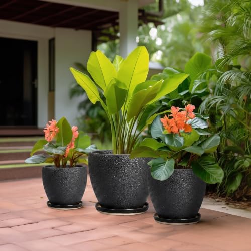Ceramic 10+8+6 Inch Planter, Ceramic Pots for Plants, Relief Black - Image 5