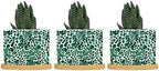 Leopard Green Ceramic Planters Green African Tribal Planters for Outdoor Plants with Drainage Holes and Saucers Pot for Indoor Outdoor Garden by BRUYU5SE