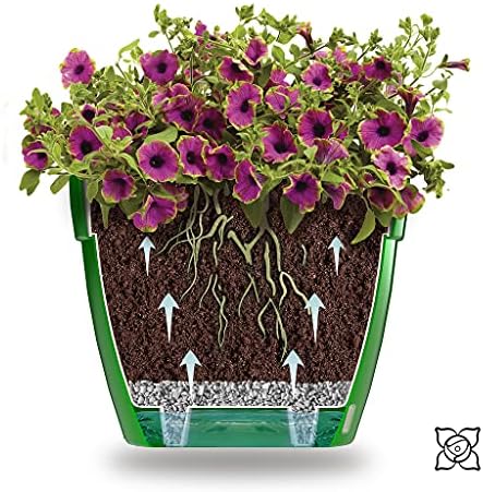 Gardenera 7.9" ASTI Self Watering Planter (Set of 3) in Gold/Black - Modern Flower Pot with Water Level Indicator for All House Plants, Flowers, Herbs, Succulents and Hanging Plants - Image 5