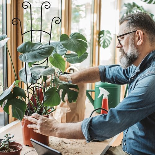 Coomin 32.6in Monstera Plant Support Trellis for Indoor Plants, 4P - Image 5
