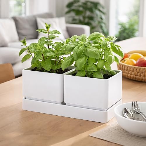 D'vine Dev 2-Pack Herb Garden Planter Set with Saucer, White, 76-Q-A-2 - Image 6