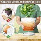 8 Inch Ceramic Plant Pot, Khaki + White - Image 4