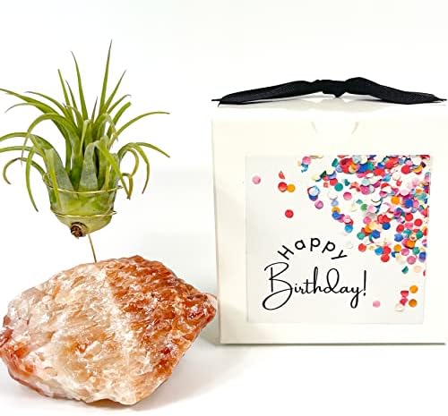 Red Calcite Crystal Air Plant Holder Made Includes Healthy Air Plant and Gift Box Meaningful Birthday Gift - Image 3