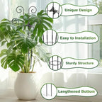 Coomin 32.6in Monstera Plant Support Trellis with One Butterfly, 4P - Image 3