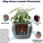 Ceramic Planters Set, 15/12/9 in Large Flower Pots, Blue Green - Image 4