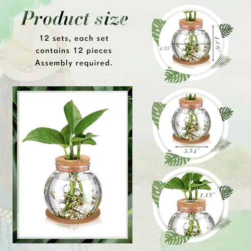 Baderke 12 Packs Propagation Vases for Plants Plastic Plant Propagation Station with Hole Lid and Cork Coasters Plant Growing in Water Hydroponic Home Office Table Decoration(Fish Bowl Style) - Image 2