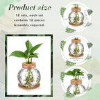 Baderke 12 Packs Propagation Vases for Plants Plastic Plant Propagation Station with Hole Lid and Cork Coasters Plant Growing in Water Hydroponic Home Office Table Decoration(Fish Bowl Style) - Image 2